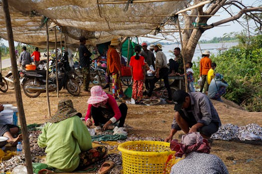 ¿Para vender online es obligatorio darse de alta como ... - Blog